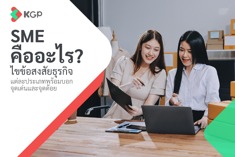 What Exactly is an SME? Your Guide to Business Types and Key Examples
