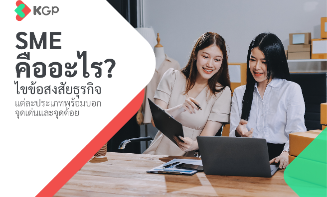 What Exactly is an SME? Your Guide to Business Types and Key Examples